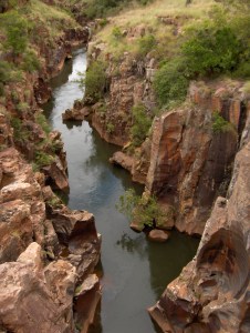 Afrique du Sud - jan 2007 132