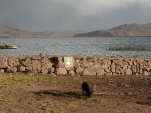 Pérou - août 2007 363