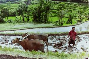 My beautiful picture