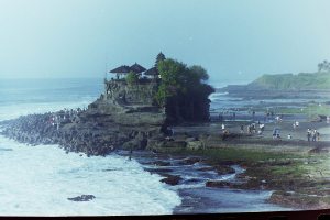 My beautiful picture