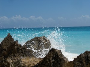 Mexique - mars 2008 090