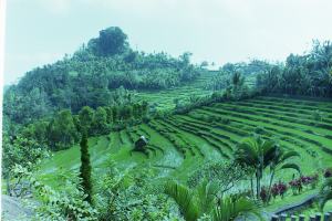 My beautiful picture