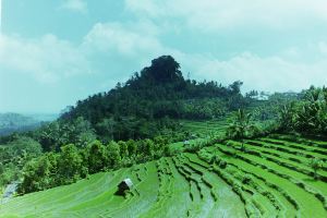 My beautiful picture