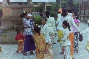 My beautiful picture