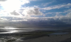 Baie de somme (2)