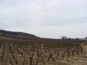 Bourgogne (27)