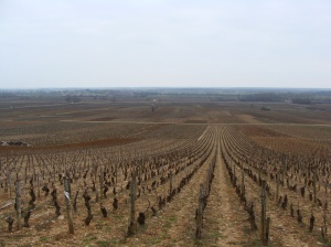 Bourgogne (3)