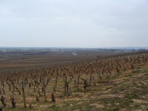 Bourgogne (4)
