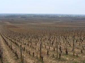 Bourgogne (5)