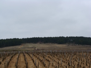 Bourgogne (6)