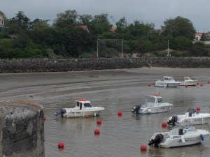 Royan - mai 2007 035