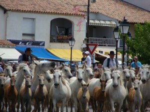 Sainte Marie de la  Mer (4)