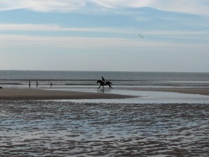 Trouville Deauville - sept 2006 020