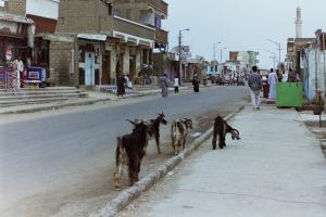 My beautiful picture