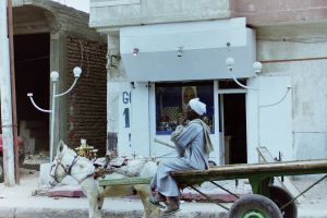 My beautiful picture