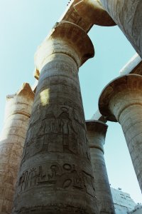 My beautiful picture