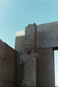 My beautiful picture