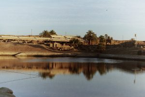 My beautiful picture