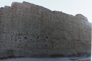 My beautiful picture