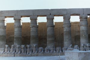 My beautiful picture