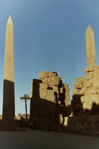 My beautiful picture