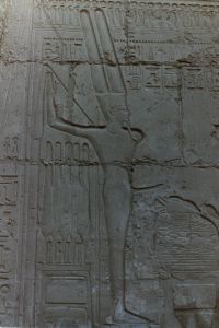 My beautiful picture