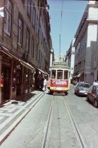 My beautiful picture