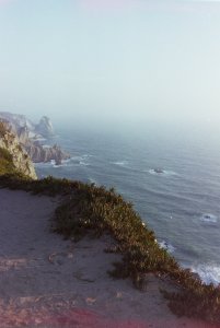 My beautiful picture