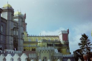 My beautiful picture