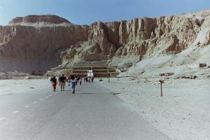 My beautiful picture