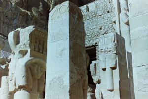 My beautiful picture