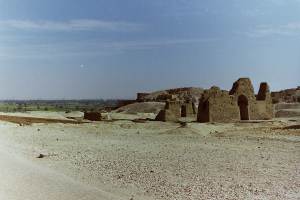 My beautiful picture