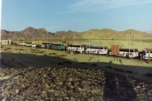 My beautiful picture